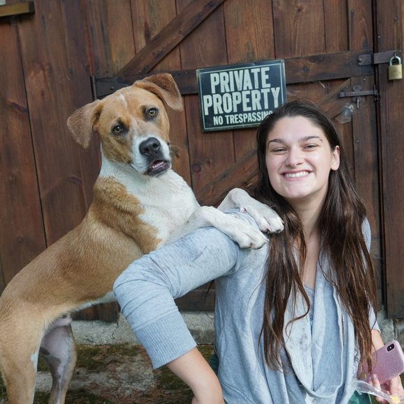 Meet your Posher, Zoe - Picture 8 of 8